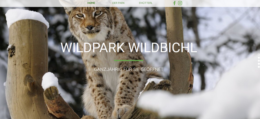 wildpark wildbichl niederndorferberg.png